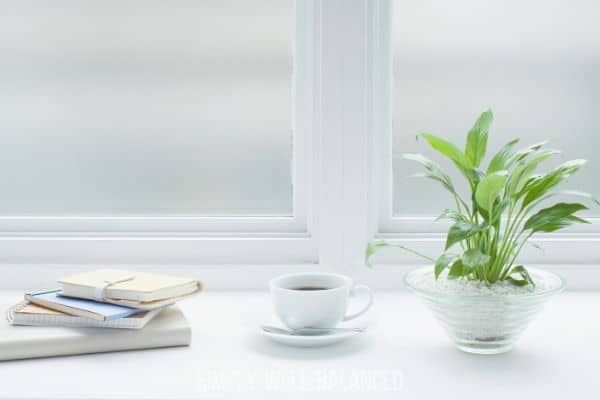 A countertop by frosted windows with a stack of books, cup of coffee, and a potted plant.
