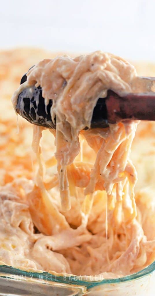Creamy, cheesy chicken tetrazzini casserole fresh out of the oven. 