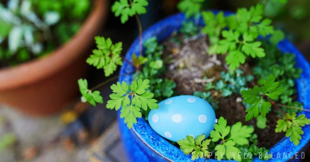 Blue polka dot Easter egg hidden in a potted plant. 