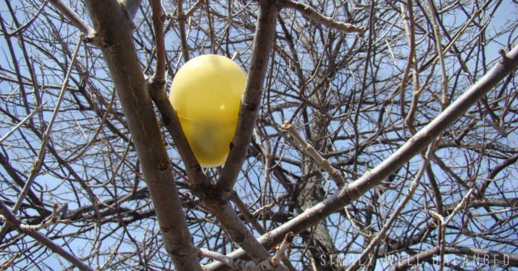 Yellow plastic Easter egg hidden in a tree.