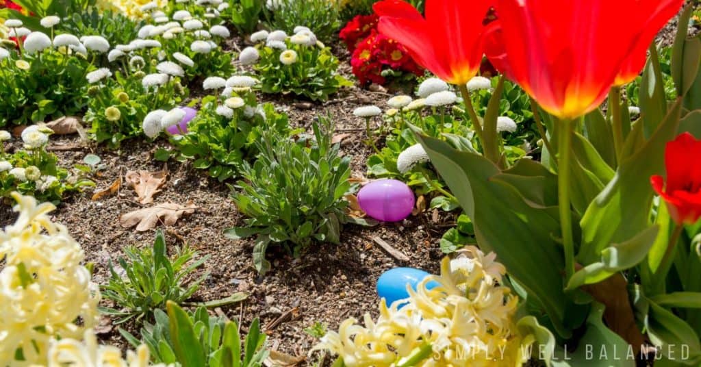 Plastic Easter eggs hidden in a flower bed.