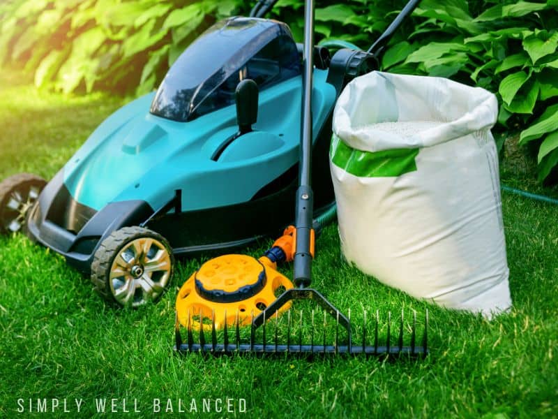 Lawn mower, rake, blower and a bag of leaves gathered on the lawn. Paying for yard service is a fantastic gift idea for women.