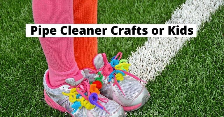 40 Pipe Cleaner Crafts for Kids: Animals, Flowers and More!