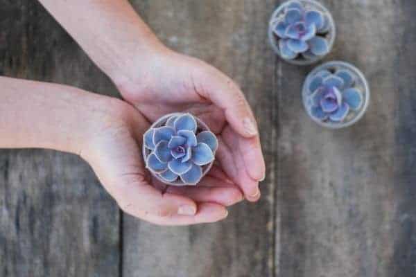 10 Simple Living Tips For Families