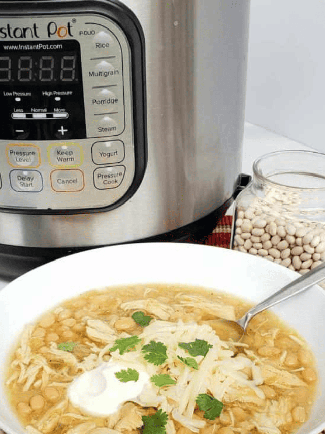 30 Simple Instant Pot ‘Dump and Go’ Recipes Story